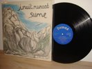 Rare Greenland Prog - Inuit Nunaat - Sume - Demos 20