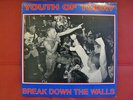 Youth of Today 'Break Down the Walls' LP, hardcore