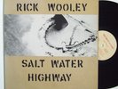 Private Folk Rock LP RICK WOOLEY Salt Water Highway