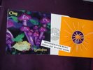 CHUG Sassafras New Zealand Flying Nun records 1994 LP
