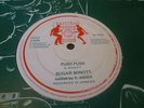 Sugar Minott Push Push Killer Rare Digi 12