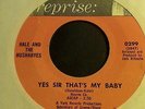 Hale & the Hushabyes Yes Sir that's my baby (blossoms)