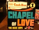 the dixie cups.