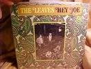 THE LEAVES LP HEY JOE MIRA / SURREY 3005  PSYCH  SHRINK