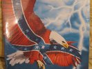 Private Southern Rock LP Roadside Band Storms About