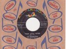 The Marvelows-Your Little Sister-60's Northern Soul 45
