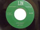 DON TERRY Knees Shakin' LIN RECORDS 45 rpm vinyl SINGLE