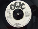 Rare 70s Soul 45 WEE Try Me on Owl