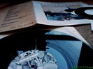 DIPSOMANIACS - BRAID OF KNEES - G/F LP + 7