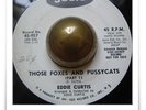 Eddie Curtis Foxes And Pussycats SOUL R&B MOD HEAR 45