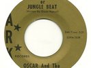 OSCAR and the MAJESTICS RARE GARAGE FUZZ ARK RECORDS 