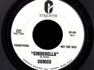 The Sonics - Louie Louie/Cinderella white label 45