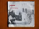 SCRITTI POLITTI-SKANK BLOC BOLOGNA-DIY PUNK 7
