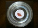 porcupine tree 12