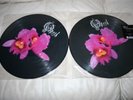 OPETH Orchid picture disc DOUBLE LP RARE OOP In Flames