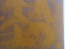 Touche Amore La Dispute TEST PRESS rival mob trash talk