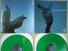 SUNNY DAY REAL ESTATE - the rising tide RAR 2xLP GREEN