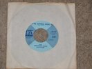 Thirteenth Floor Elevators vinyl 45 single