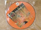 SLAYER - HELL AWAITS RARE LIMITED PICTURE DISC 1985