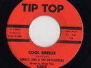 SOUL - GERALD SIMS & DAYLIGHTERS - COOL BREEZE- NM-
