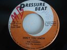 THE PIONEERS **Don't You Know** BOSS 1969 Reggae HEAR