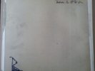 babyshambles - down in albion LP - libertines doherty