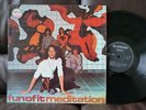 FUN OF IT Meditation DUTCH PSYCH PROG LP PROGRESSIVE