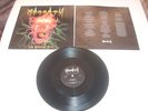 MORGOTH - The Eternal Fall MLP 1.PRESS Autopsy Macabre