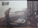 Idlewild /LP/ Hope Is Important / Built to Spill Ash