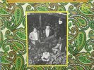The Leaves - Hey Joe LP on Mira Jimi Hendrix Psych Fuzz