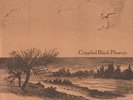 CRIPPLED BLACK PHOENIX - SHARKS & STORMS - 10