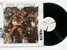SEEDS OF FULFILLMENT private '81 OH jazz funk LP