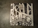 THE FRESH & AND ONLYS - RARE TEST PRESS - GARAGE HOZAC