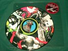 Yeah Yeah Yeahs Fever to Tell LP picture disc NM