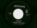 MICHAEL & THE JESTERS  Screwdriver 45 rpm RARE SURF VG+