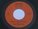 RARE R&B Soul 45 THE ELECTRAS on RUBY DOO Listen
