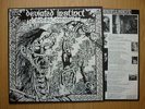 DEVIATED INSTINCT - ROCK N ROLL CONFORMITY - UK LP