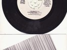 Sheer Smegma Audio Suicide EP Rare FL Garage Punk  HEAR
