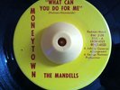 RARE SWEET SOUL - THE MANDELLS - WHAT CAN YOU DO FOR ME