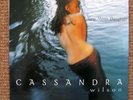 Cassandra Wilson - New Moon Daughter - DLP Blue Note