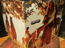 1970 RARE   FEAR ITSELF   HARD BLUES psych + FEM VCLS