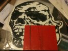 Orchid / Jerome's Dream skull shaped record screened