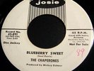 The Chaperones 45 Josie Dj copy Blueberry Sweet Doo-wop