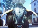 SWERVEDRIVER MEZCAL HEAD LP UK 1993 Mint