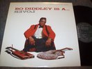 Bo Diddley   