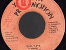 TREVOR JUNIOR - TIDAL WAVE - [OVERWHELMING] KILLER DIGI