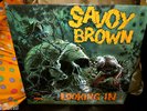 SAVOY BROWN LOOKING IN SEALED ORIGINAL 1971 PARROT LP
