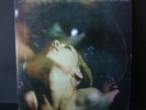 DEFTONES Saturday Night Wrist 2x LP on MAVERICK ORIG.