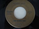 The Mystic Tide  Garage band 45 record 