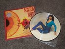 Kate Bush The Kick Inside Picture Disc UNPLAYED